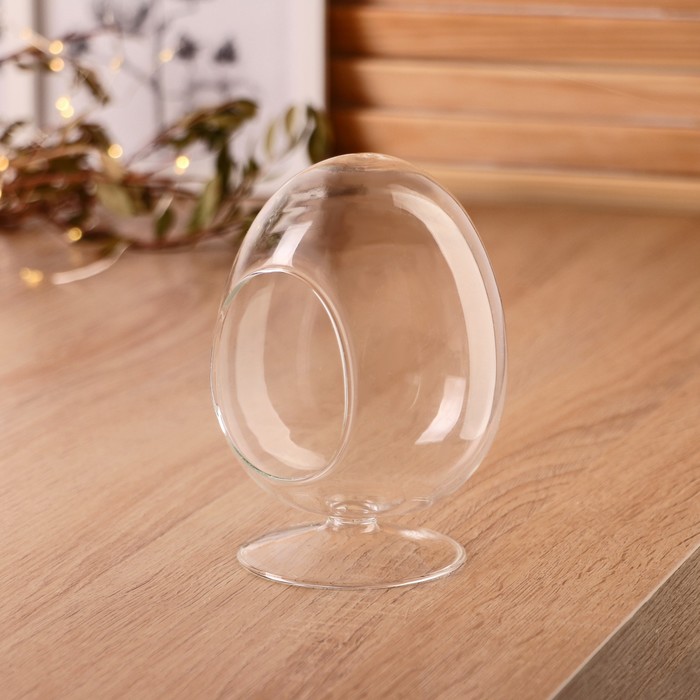 Флорариум «Овал», d=5.5 см, 10×15 см