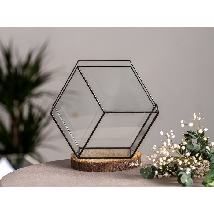 Флорариум «Соты 3d», стекло, швы чёрные