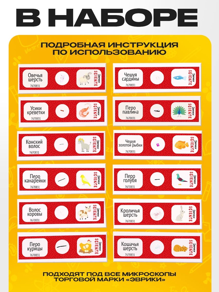 Набор для опытов «Набор микропрепаратов», животные