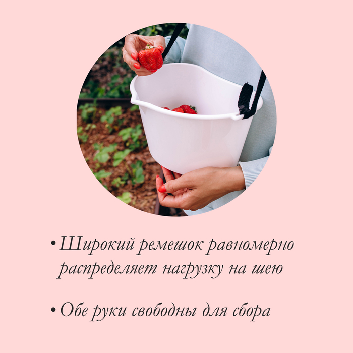 Ёмкость для сбора ягод, 3 л, белая