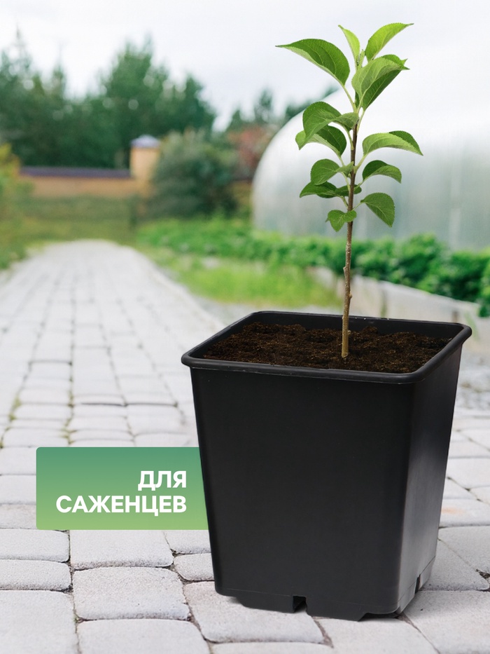 Горшок для рассады, 11 л, 25×25×26 см, чёрный