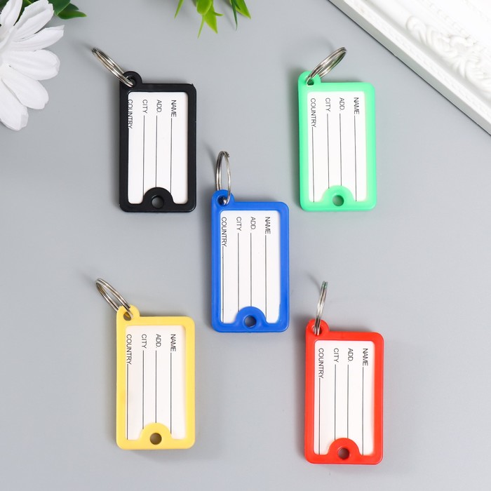 Бирка для ключей на кольце «Идентификатор. Адресат», пластик, МИКС