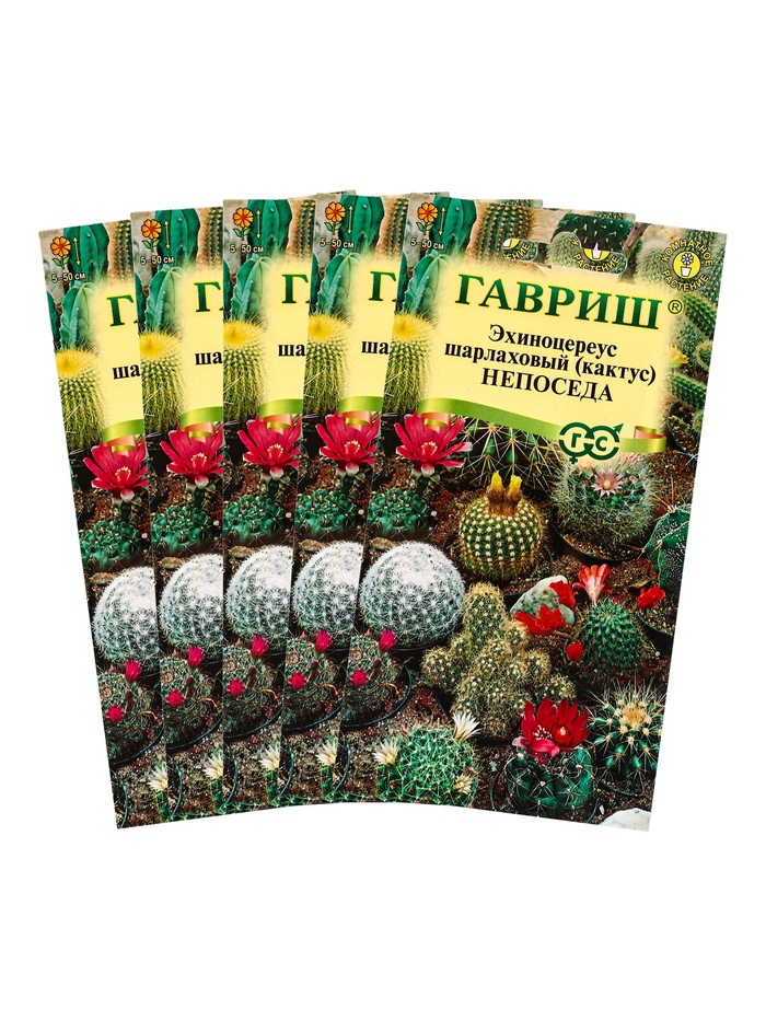 Набор семян комнатных Кактус "Непоседа",  5 шт.