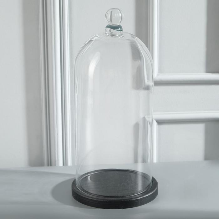 Стеклянный купол - клош с шариком на деревянной подставке «Родрик», 34×15 см, стекло, чёрный