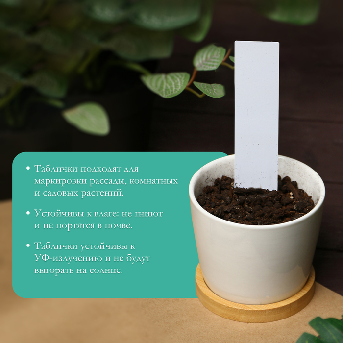 Бирки садовые, для маркировки растений, 15 см, набор 10 шт., пластик, белые, Greengo