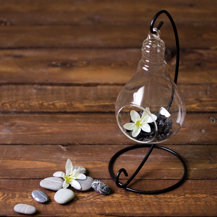 Флорариум «На подвесе», 23 см лампочка, 15×9 см, d=5.5 см