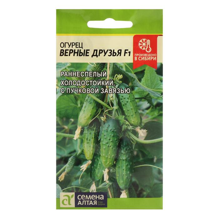 Семена Огурец "Верные друзья", F1, 5 шт