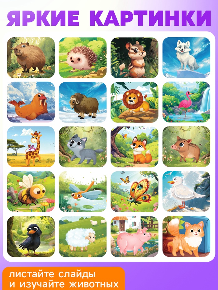 Адвент - календарь с проектором «Животные мира», 9 слайдов в наборе