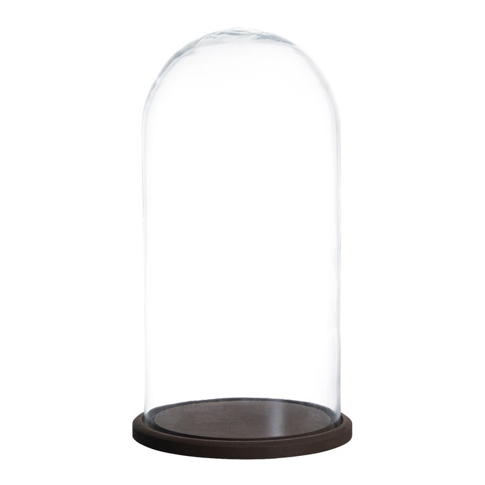 Стеклянный купол - клош на деревянной подставке «Венсан», 30×17 см, коричневый