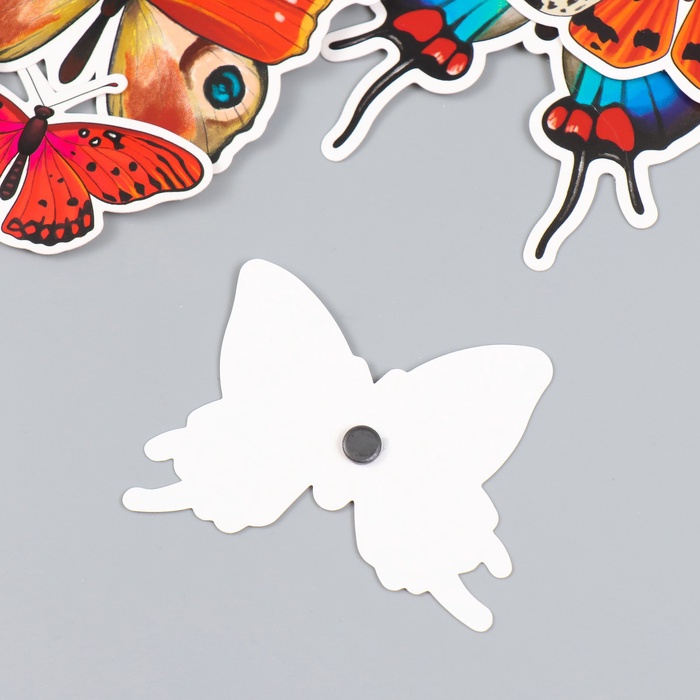 Набор магнитов на холодильник «Натуральные», 12 шт., картон, h=4-10 см