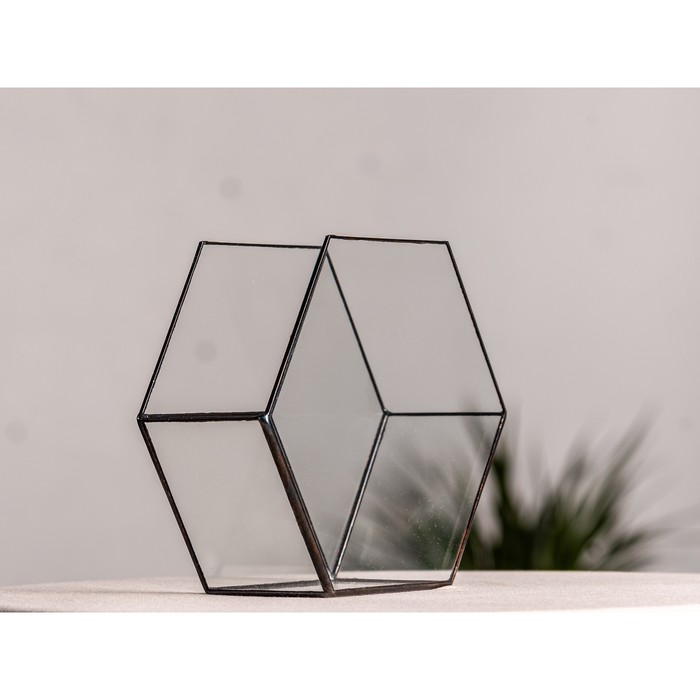 Флорариум «Соты 3d», стекло, швы чёрные