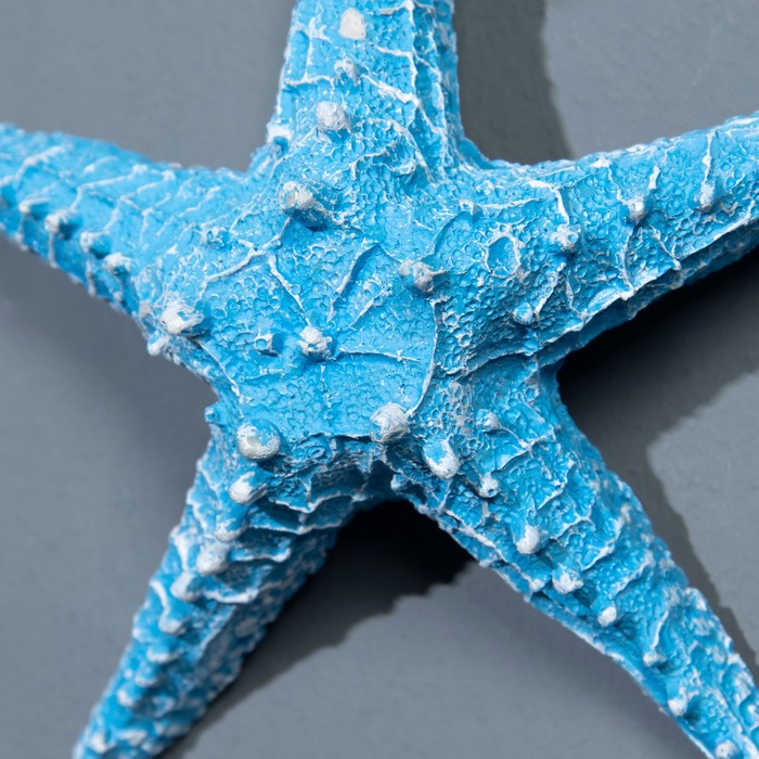 Декор настенный, панно «Морская звезда», 13 см