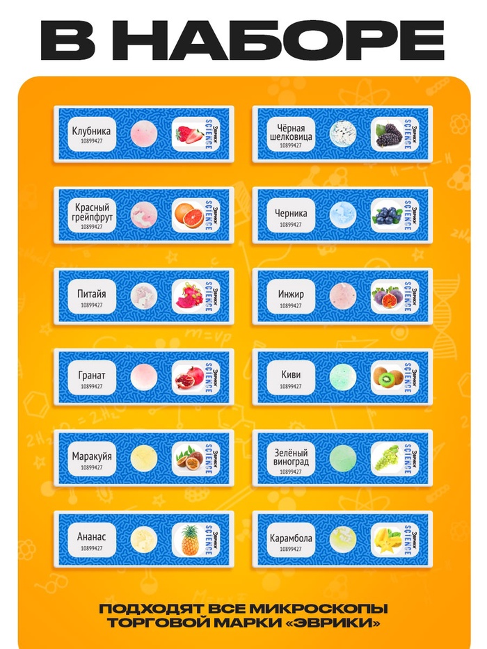 Набор для опытов «Набор микропрепаратов», фрукты и ягоды