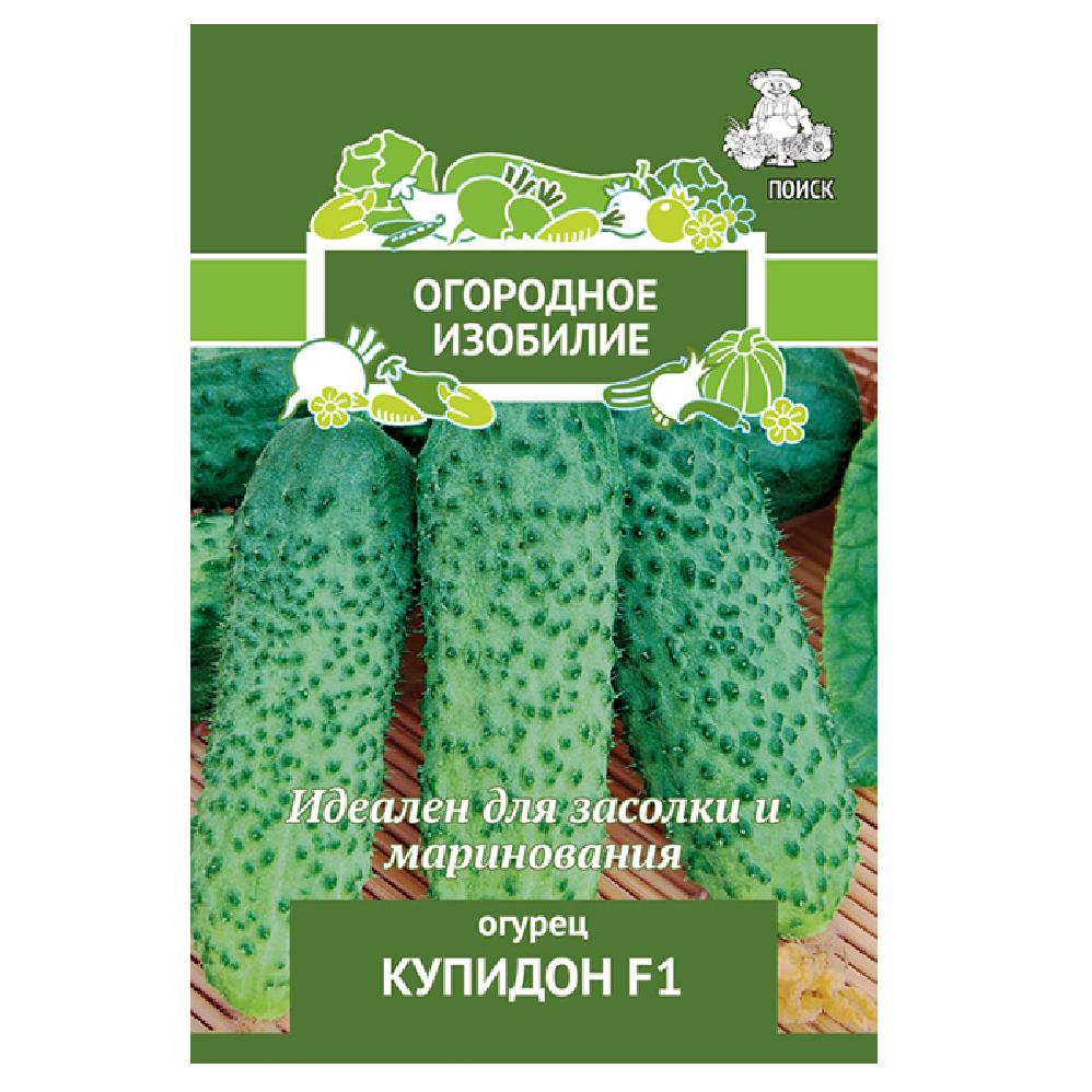 Огурцы изобилия. Огурец бенефис f1. Огурец spain f1. Огурцы изобилия. Огурец купидон f1 описание.