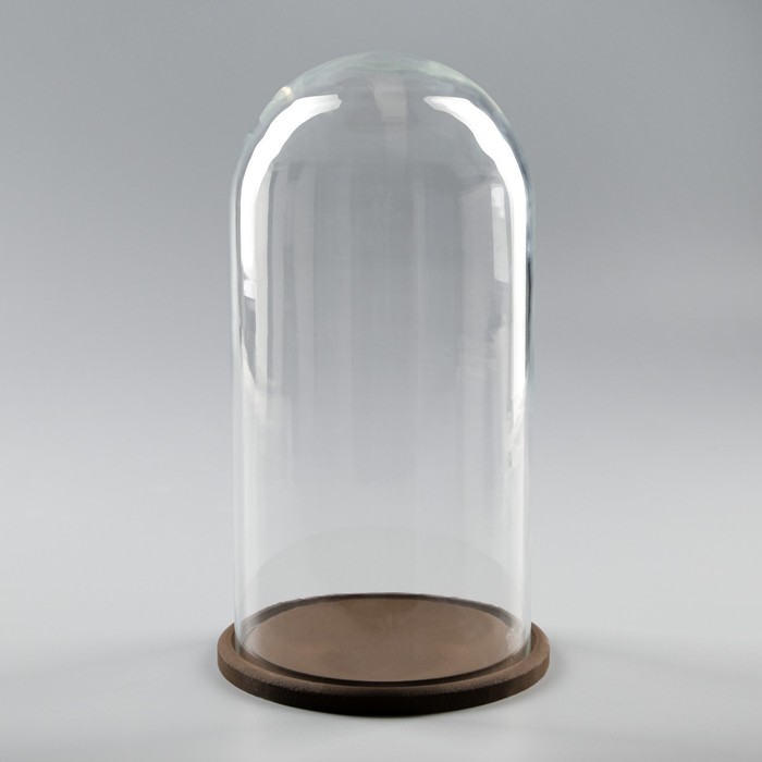 Стеклянный купол - клош на деревянной подставке «Венсан», 30×17 см, коричневый