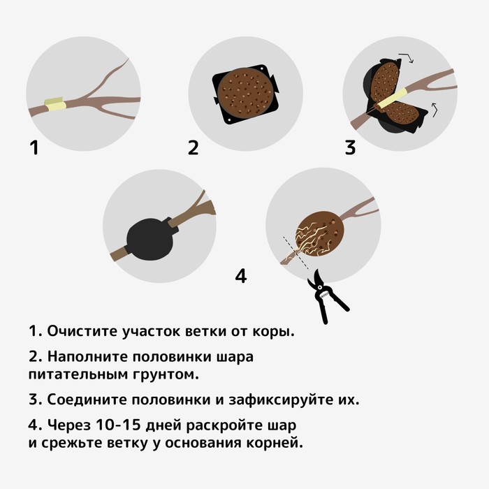 Шар для укоренения растений, d=11.5 см, под ветку 1.6 см, чёрный, Greengo