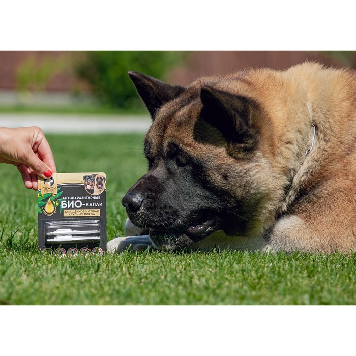 БИО капли от паразитов для животных «Пижон Premium», для щенков и собак крупных пород, 25-40 кг, 2×2 мл