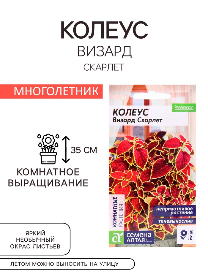 Семена комнатных цветов Колеус «Визард Скарлет», 5 шт., «Семена Алтая»