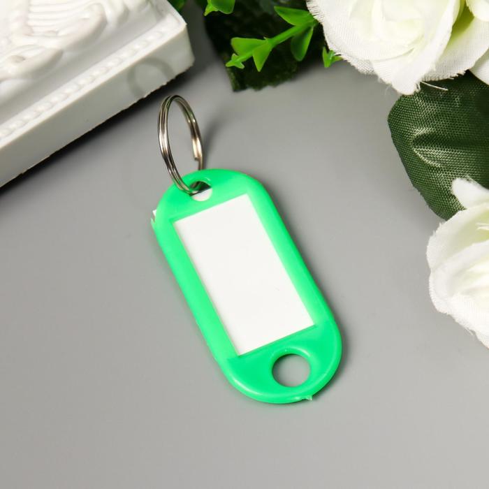 Бирка для ключей на кольце «Идентификатор стандарт», 4.8×2 см, МИКС