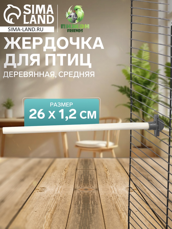 Жёрдочка для птиц «Пижон», 26×1.2 см, средняя, дерево, бежевая
