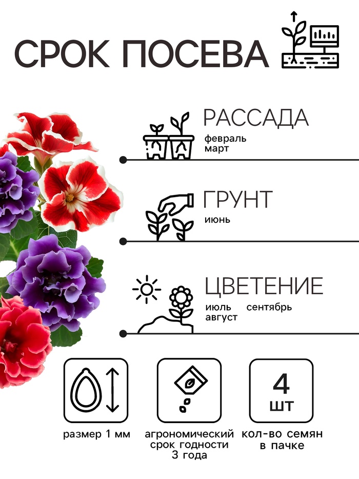 Семена комнатных цветов Глоксиния «Аванти», смесь, F1, 4 шт., «Гавриш»