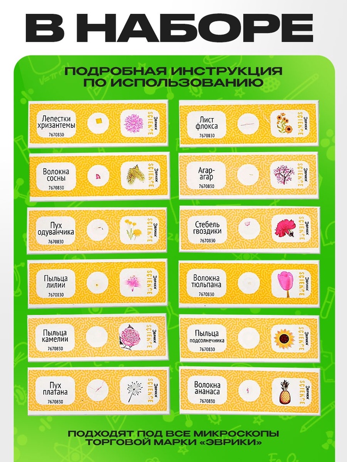Набор для опытов «Набор микропрепаратов», цветы