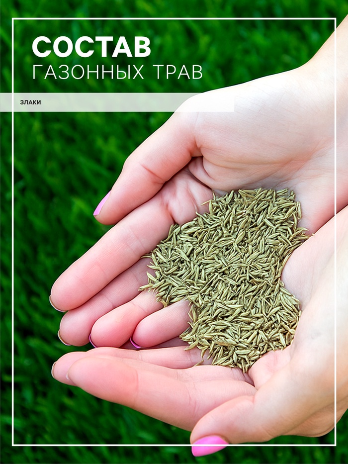 Газон Микс «Мой Выбор» травосмесь, 5 кг