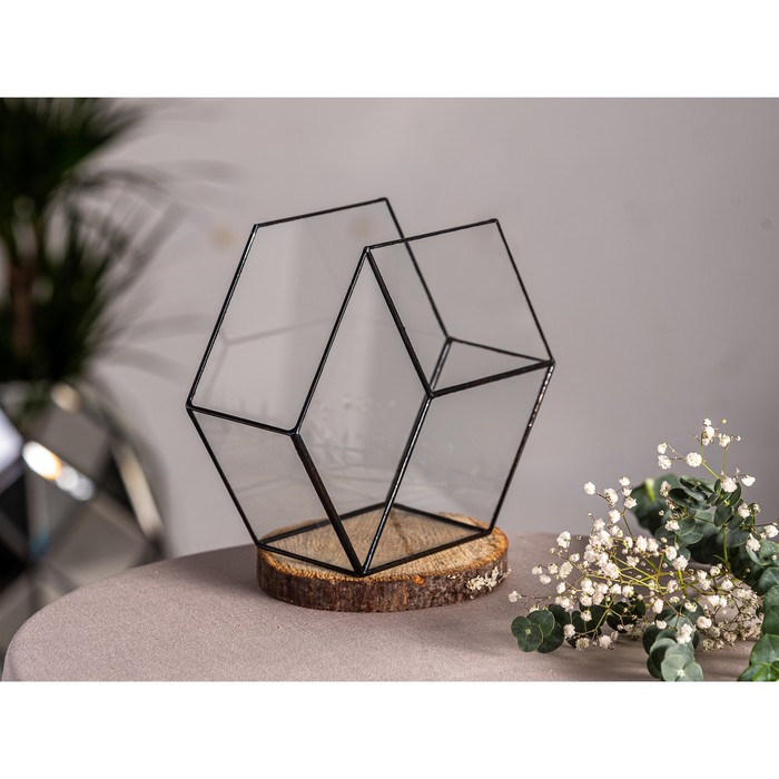 Флорариум «Соты 3d», стекло, швы чёрные