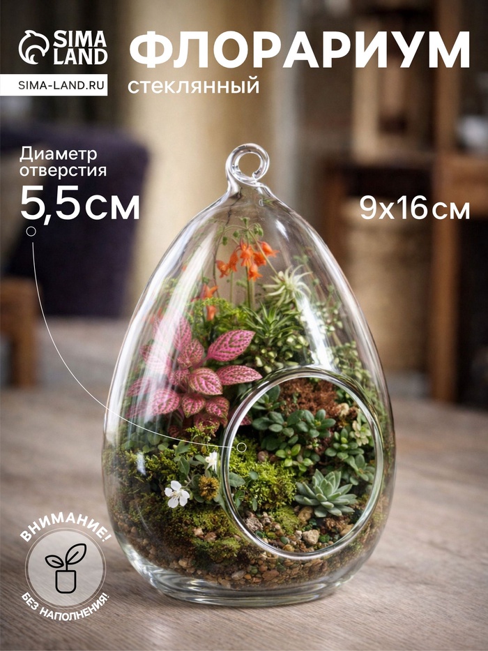 Флорариум «Каплевидная», d отв-5.5 см, 9×9×16 см