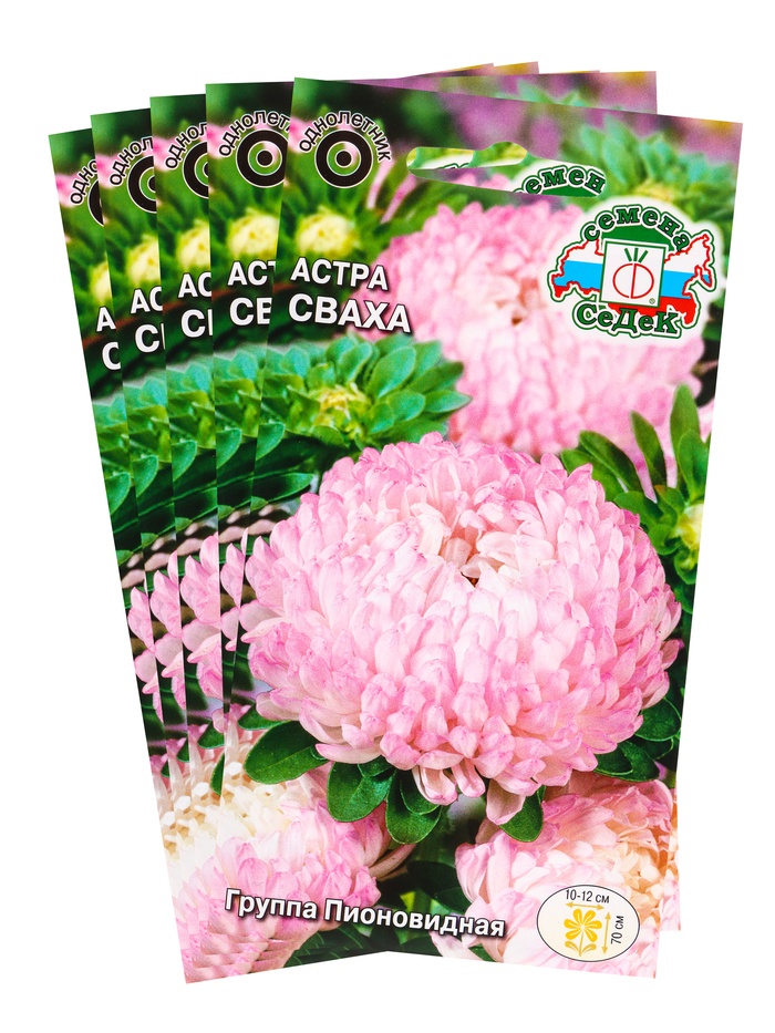 Набор семян Астра "Сваха , 5 шт.