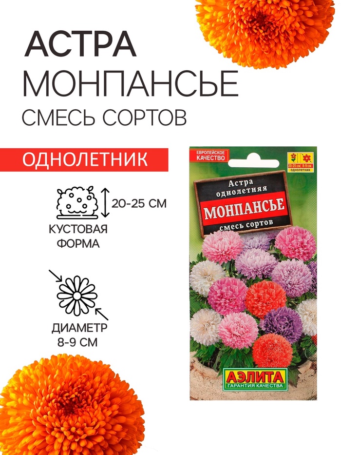 Семена цветов Астра «Монпансье», смесь окрасок, 0.2 г, однолетник, «Аэлита»
