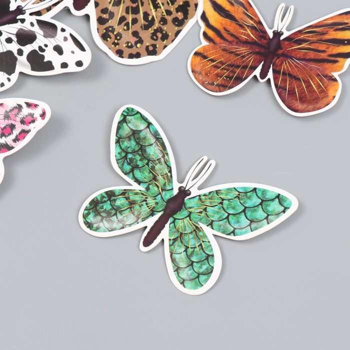 Набор магнитов на холодильник «Шкуры животных», 12 шт., картон, h=4-10 см