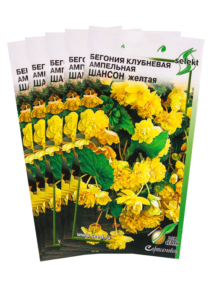 Набор семян Бегония ампельная "Шансон" клубневая, желтая, 5 шт.