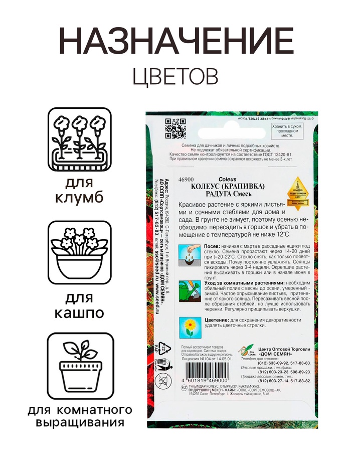 Семена комнатных цветов Колеус «Блюма Радуга», 130 шт., «Дом семян»