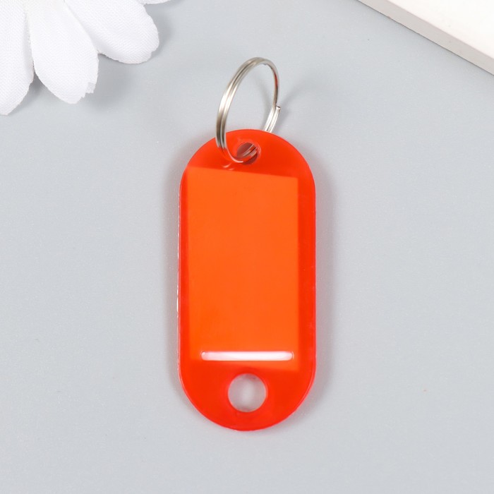 Бирка для ключей на кольце «Идентификатор овальный», пластик, МИКС