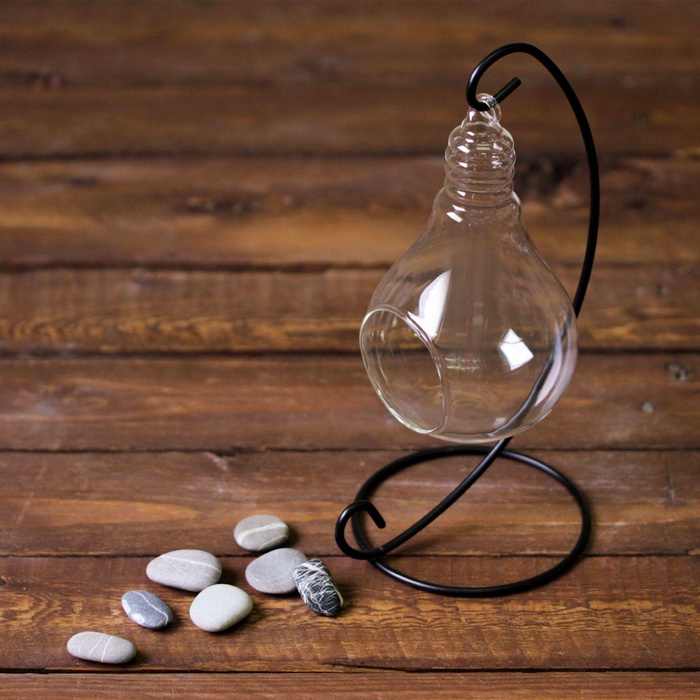 Флорариум «На подвесе», 23 см лампочка, 15×9 см, d=5.5 см