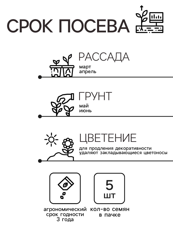 Семена комнатных цветов Колеус «Визард Скарлет», 5 шт., «Семена Алтая»