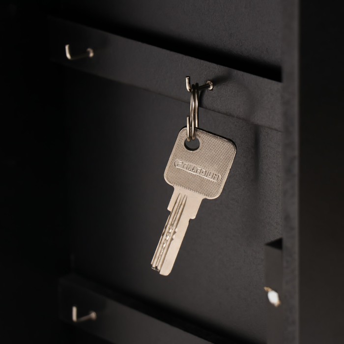 Ключница настенная «Велосипед с корзинкой с цветами», дерево, чёрная, зеркальная, 6×22.3×29.5 см