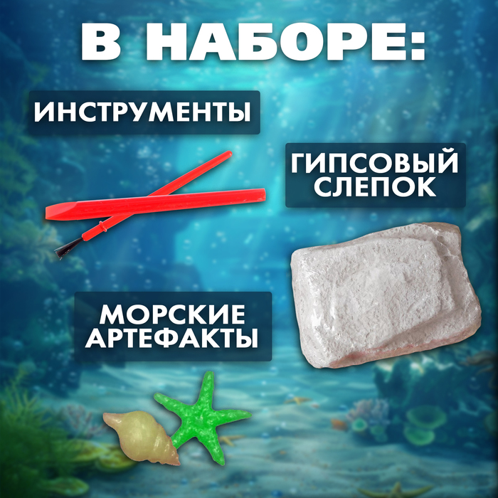 Раскопки «Сокровища океана»