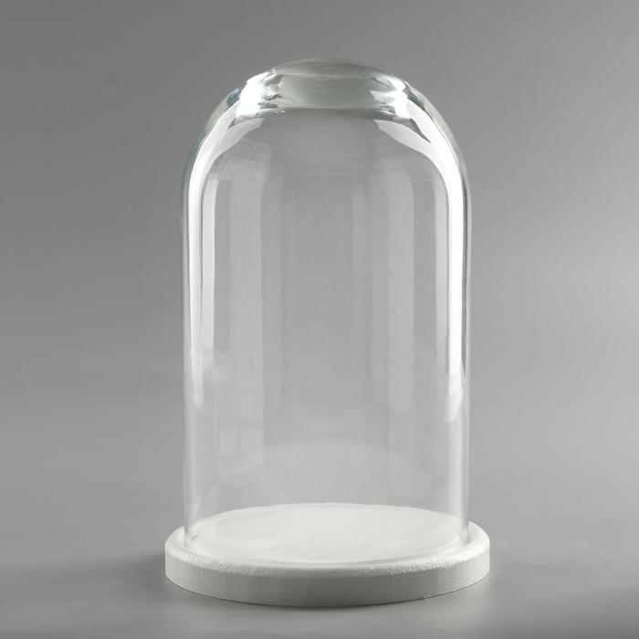 Стеклянный купол - клош на деревянной подставке «Венсан», 25×15 см, белый