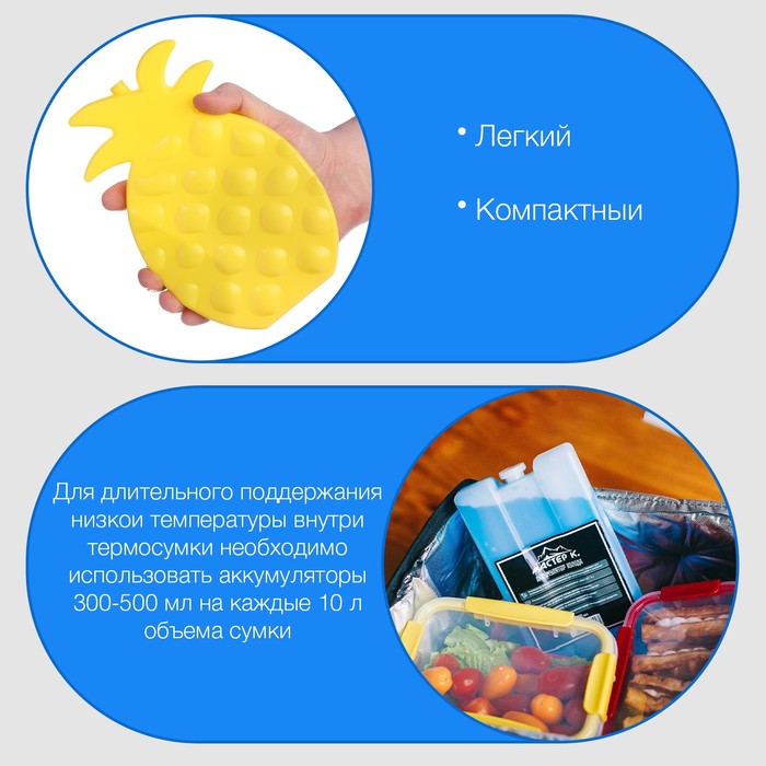 Аккумулятор холода гелевый «Мастер К», 250 мл, хладоэлемент для термосумок, 19.5×12.5 см
