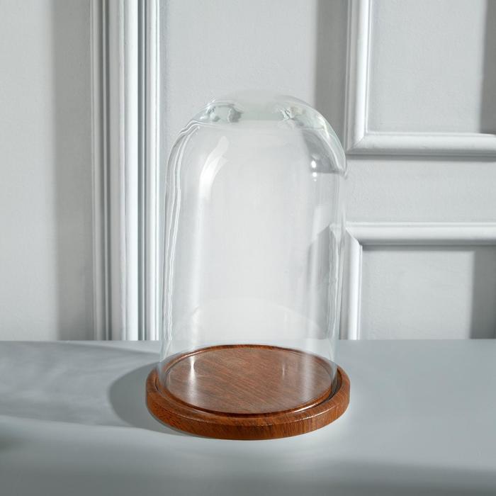 Стеклянный купол - клош на деревянной подставке «Венсан», 25×15 см, коричневый