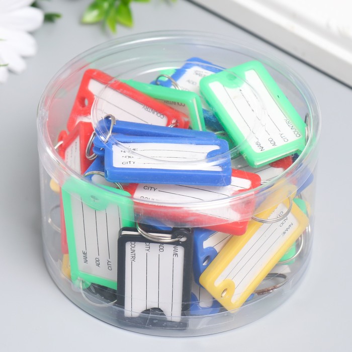 Бирка для ключей на кольце «Идентификатор. Адресат», пластик, МИКС