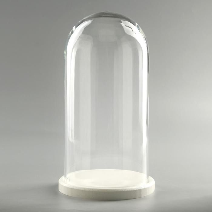 Стеклянный купол - клош на деревянной подставке «Венсан», 30×15 см, белый