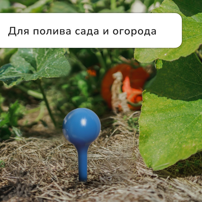 Автополив для комнатных цветов, 380 мл, h=16 см, пластик, МИКС