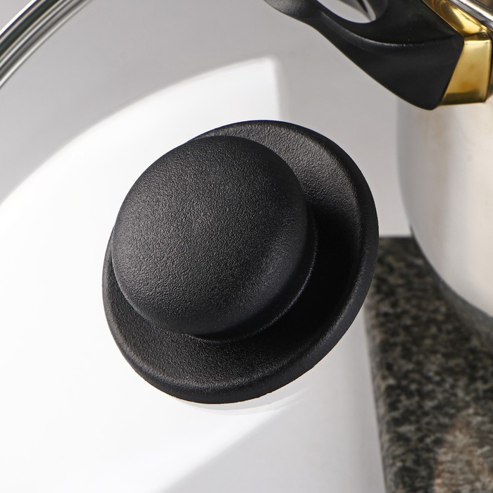 Крышка для сковороды и кастрюли Доляна, d=26 см, нержавеющий обод, пластиковая ручка, стекло, прозрачная