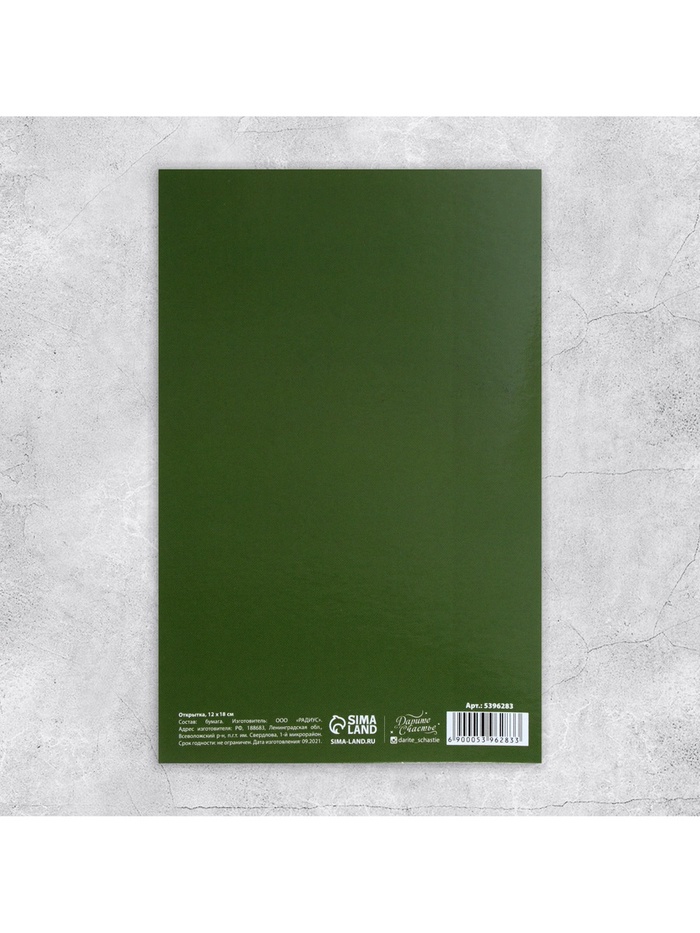 Открытка «23 Февраля», 12×18 см