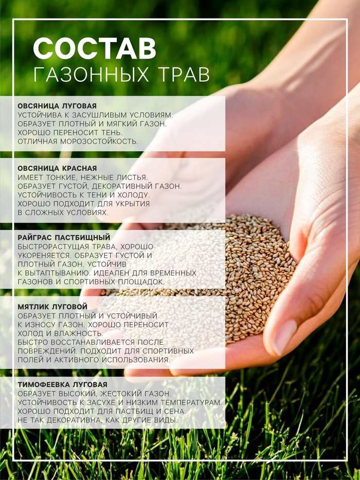 Газонная травосмесь «Детский» 1 кг