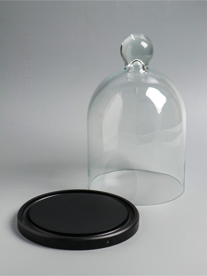 Стеклянный купол - клош на деревянной подставке, 17×25 см, чёрный