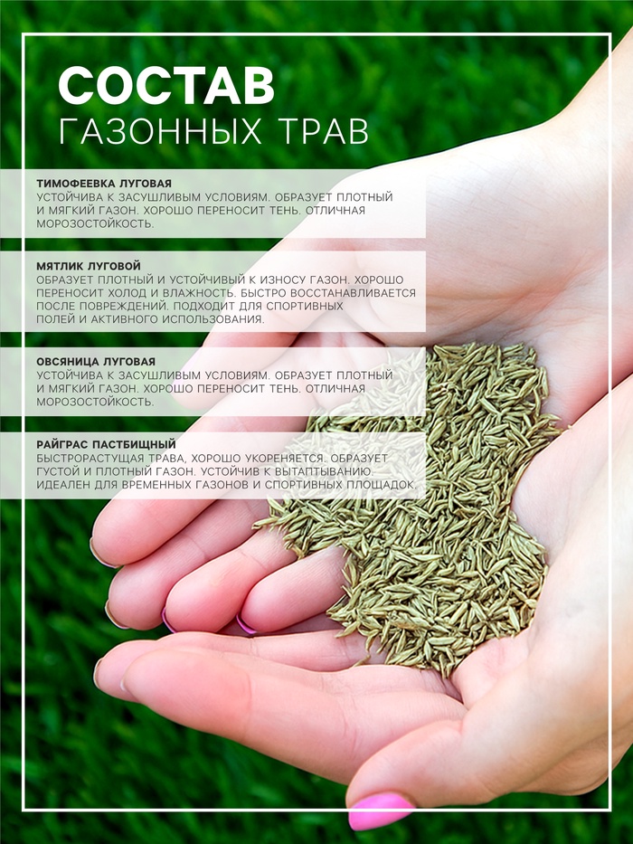 Газонная травосмесь «Гринкипер» «Игровая», 5 кг